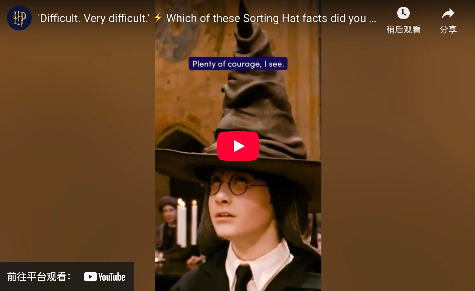 Hogwarts House Quiz Video